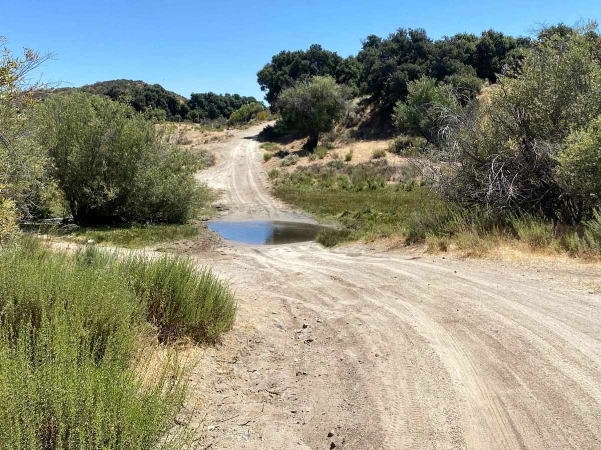 Old El Compadre Loop trail photo