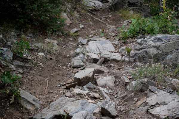 Bull Gulch Single Track - 6062