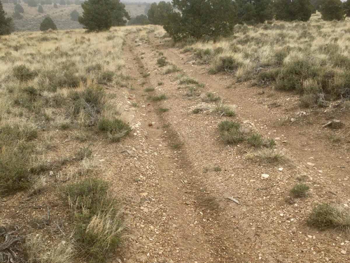 South Gallagher ATV Trail photo 2