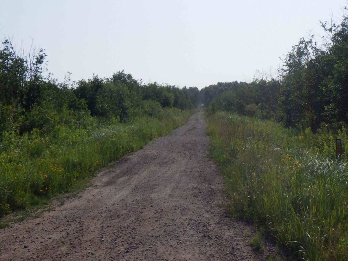 North ORV Route photo 5