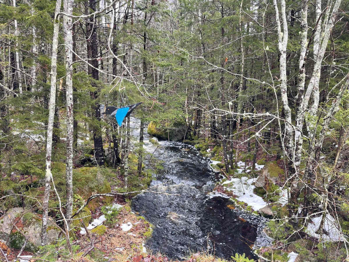 Two Mile Lake Road photo 2