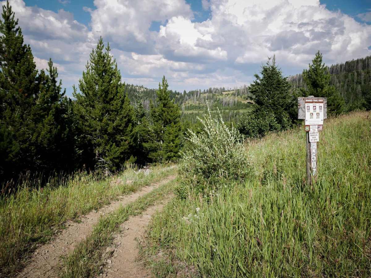 Canyon Creek Trail trail photo