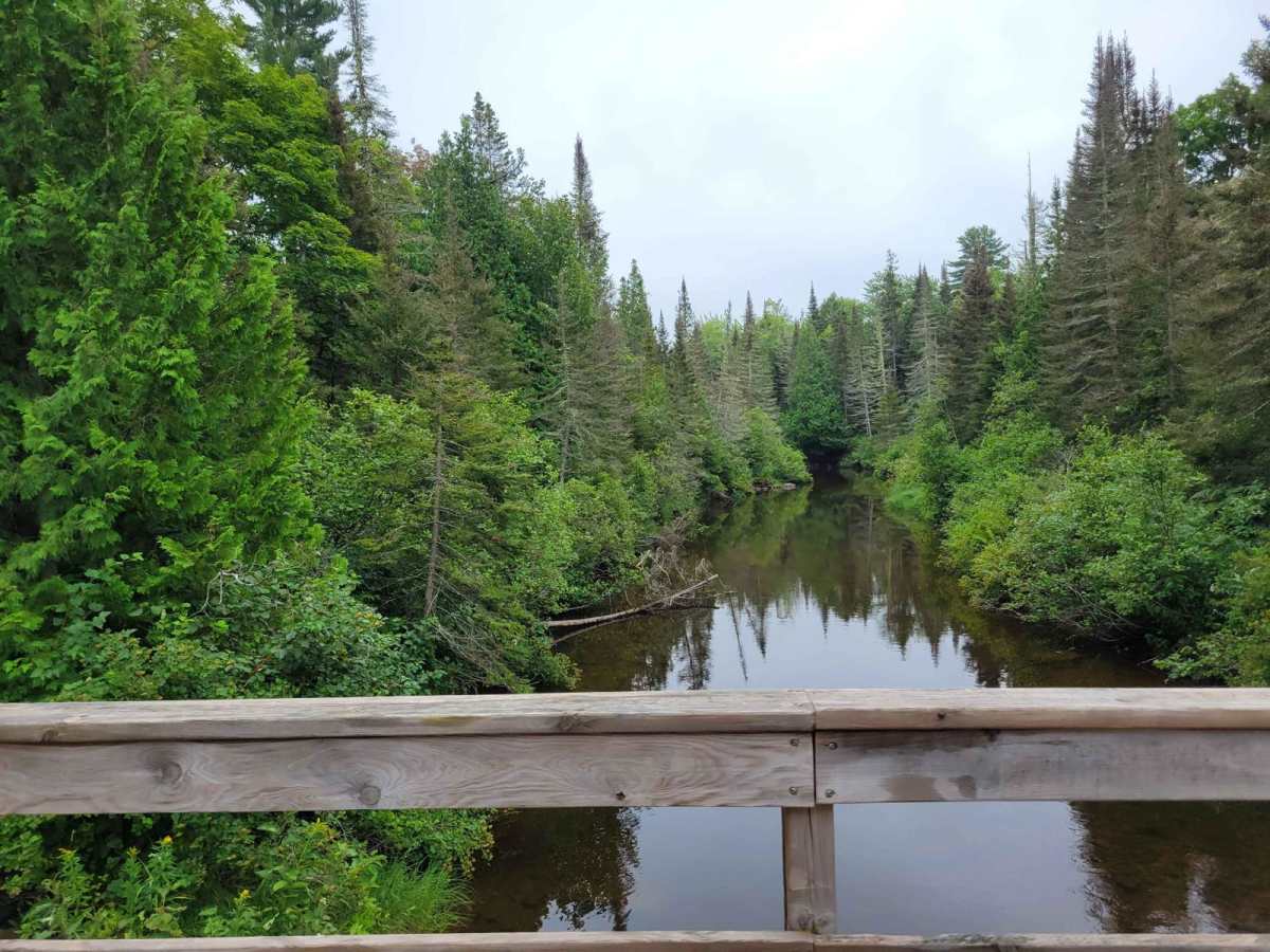 Fish Cove Cut trail photo