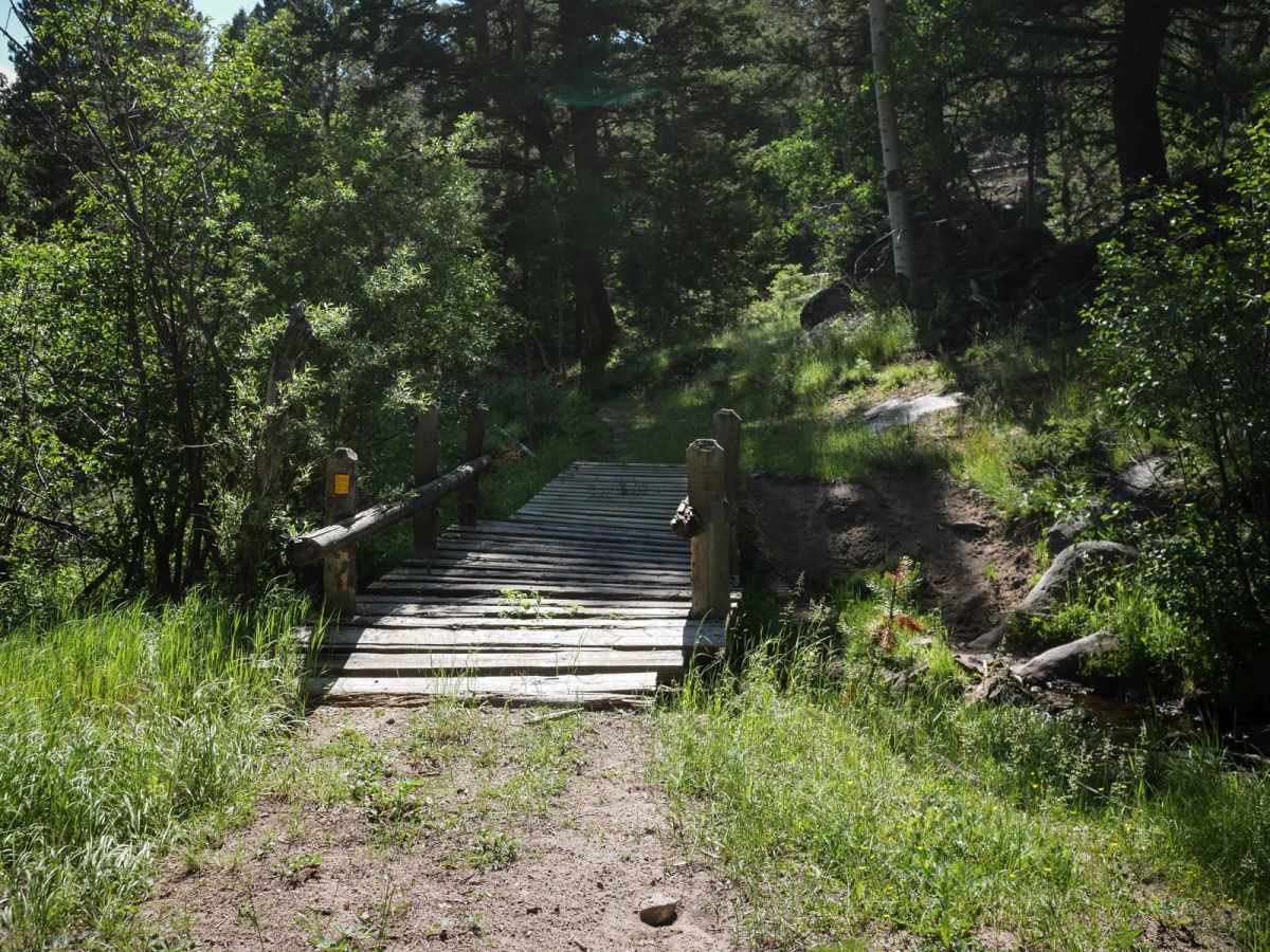 Lion Gulch photo 4