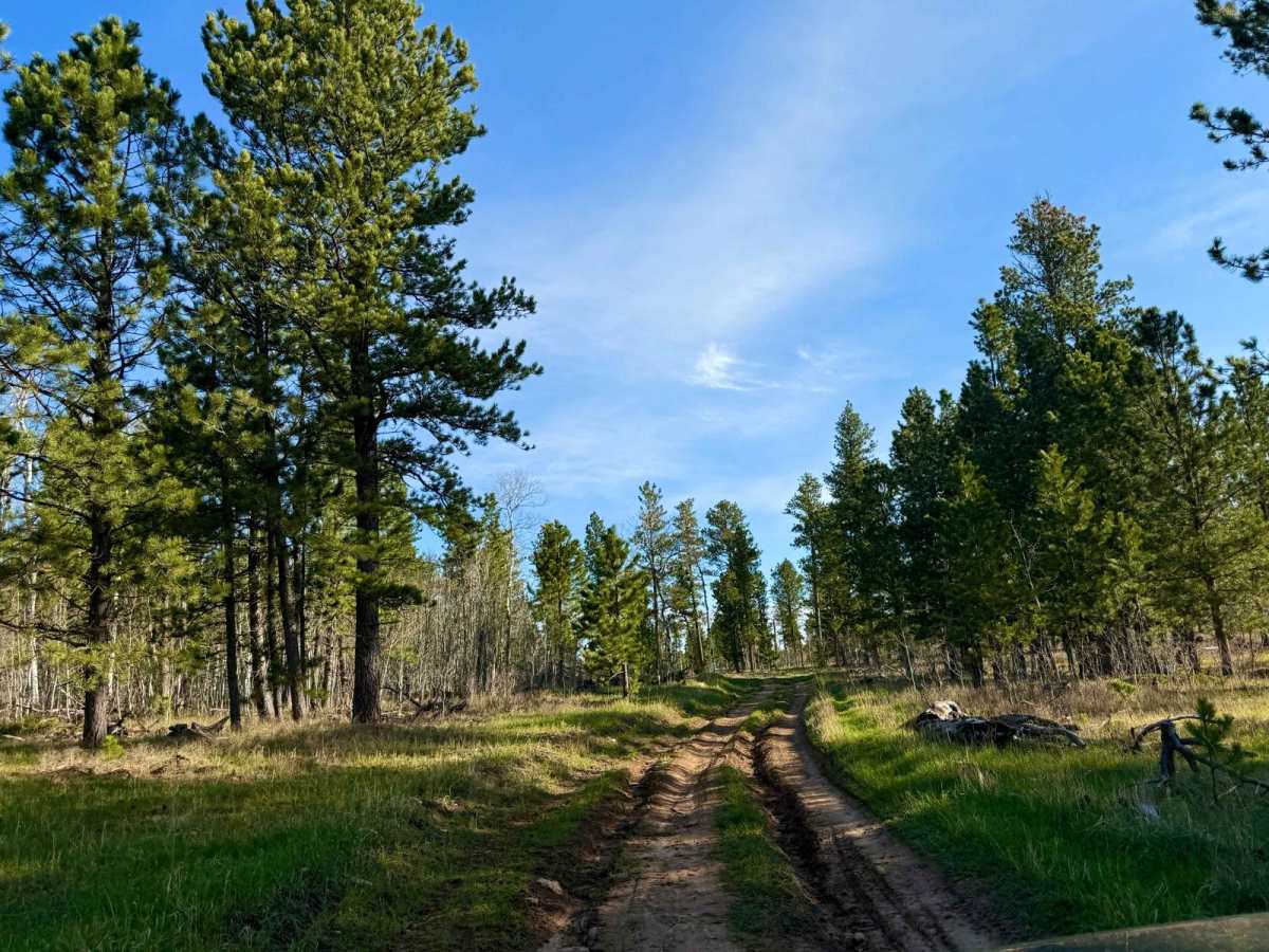 Slate Creek Rim Trail photo 5