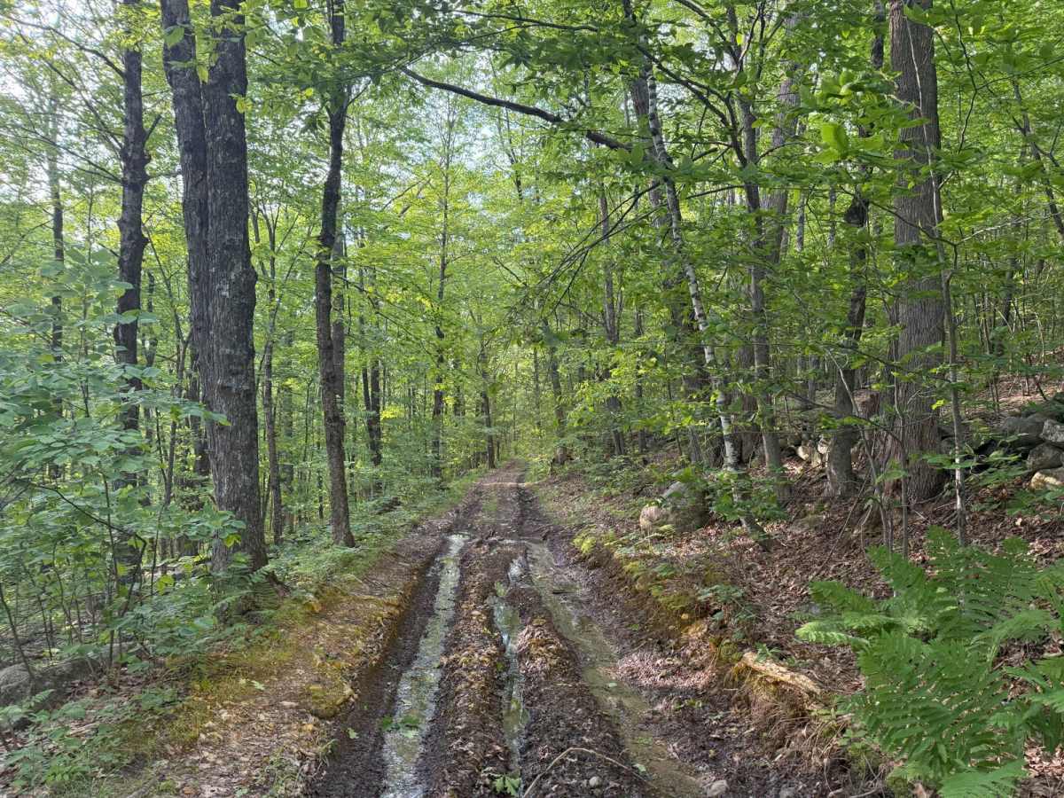 Brimstone Corner Road trail photo