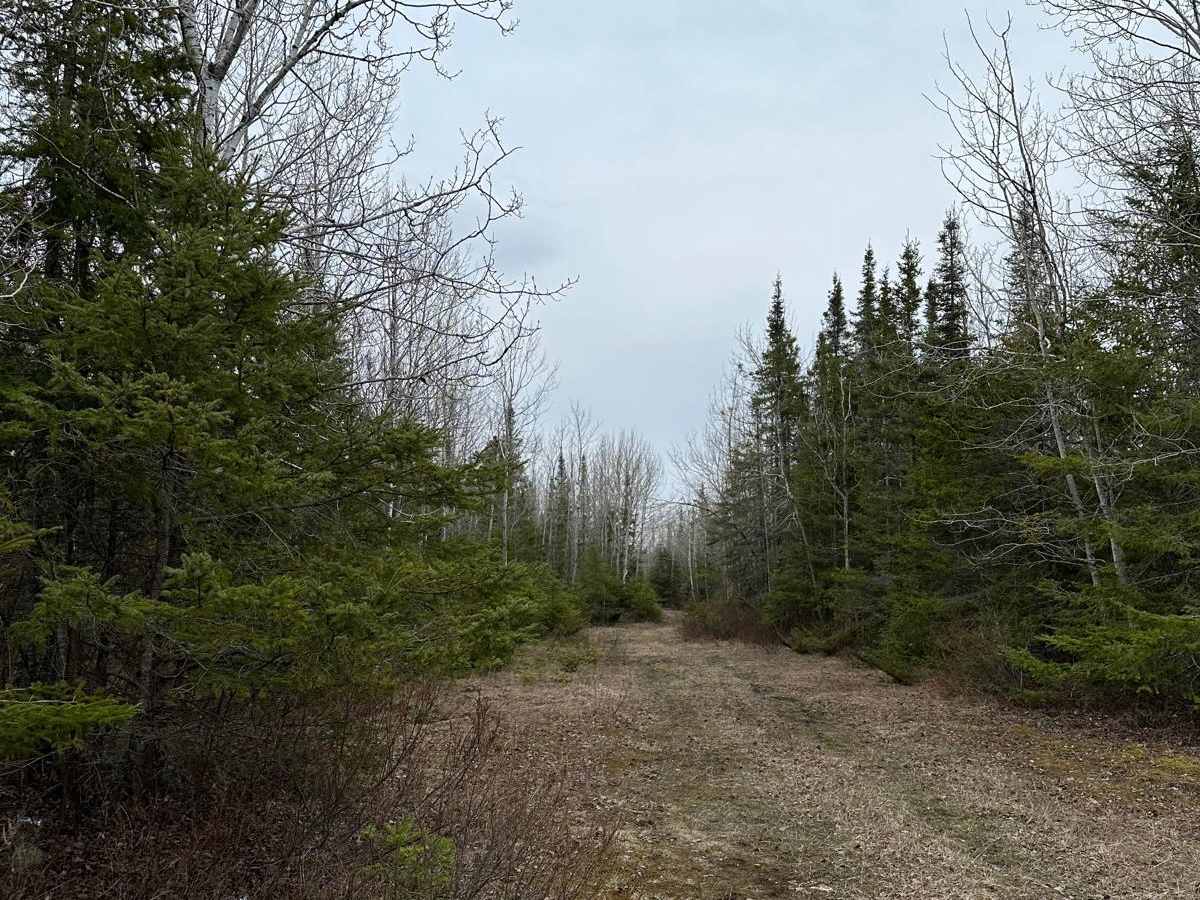 Maxton Loop photo 4