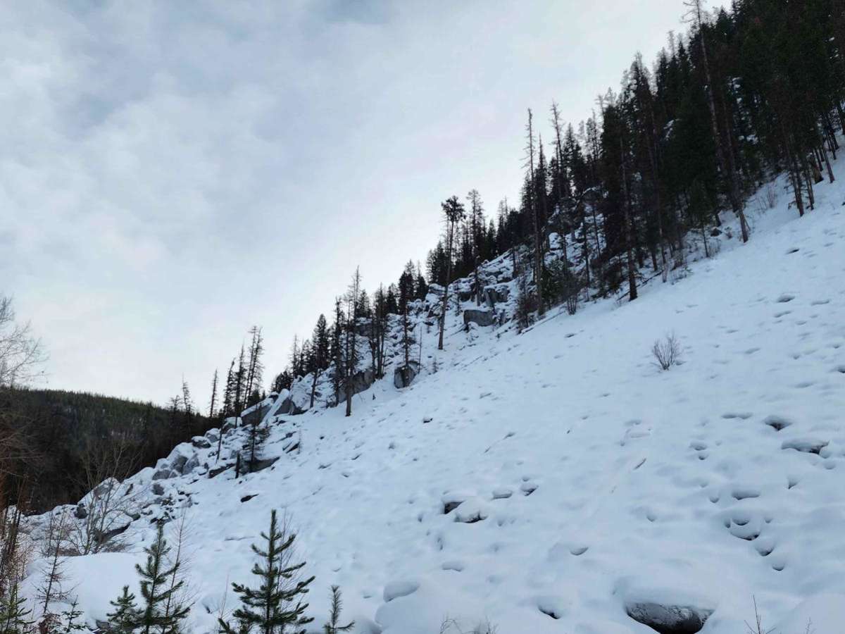 Booth Creek photo 3