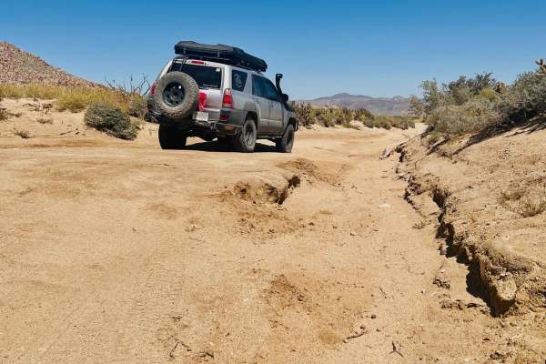 Jojoba Canyon