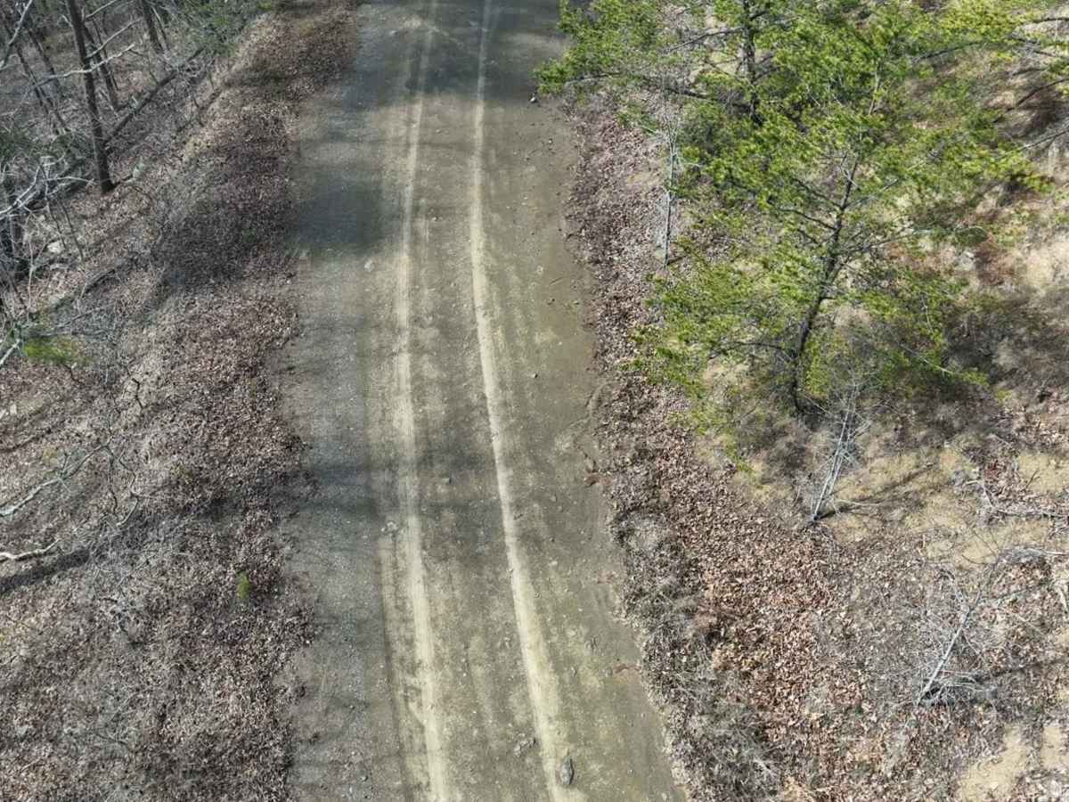 Archer Run photo 3