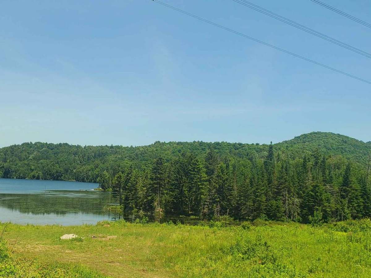Pylon Pioneer photo 5