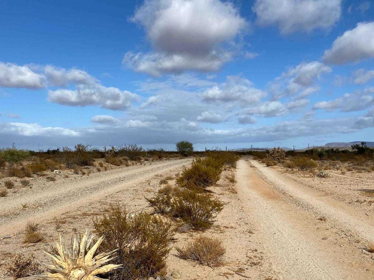 El Marmol photo 6
