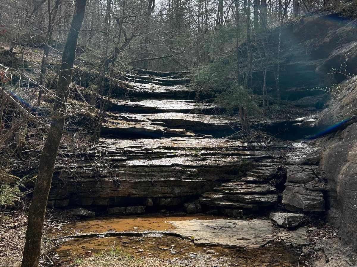 Erbie Campground Road photo 3