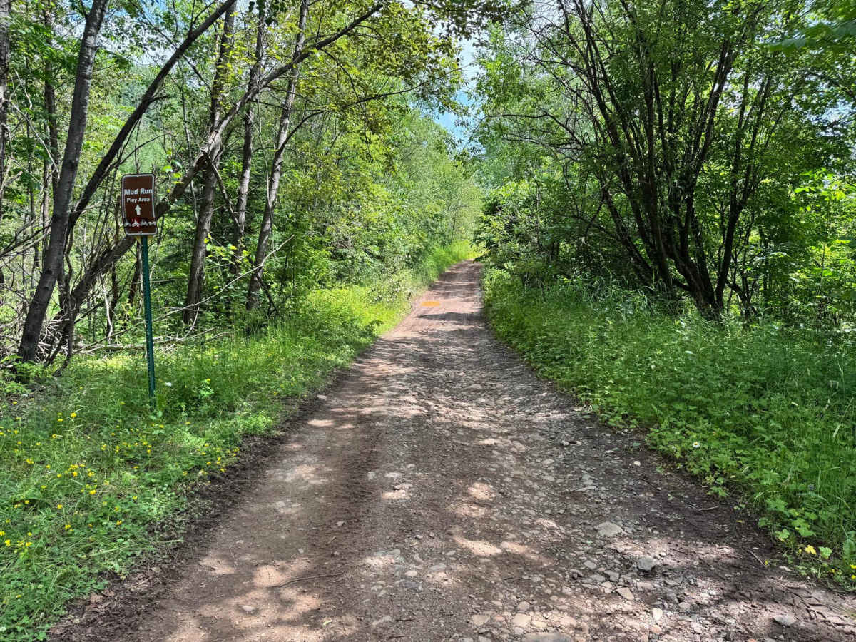 Mud Run trail photo