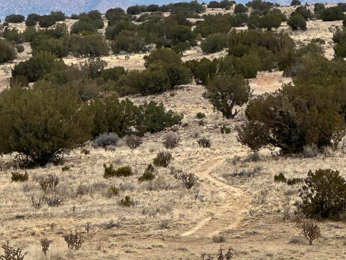 Cabezon Road photo 5