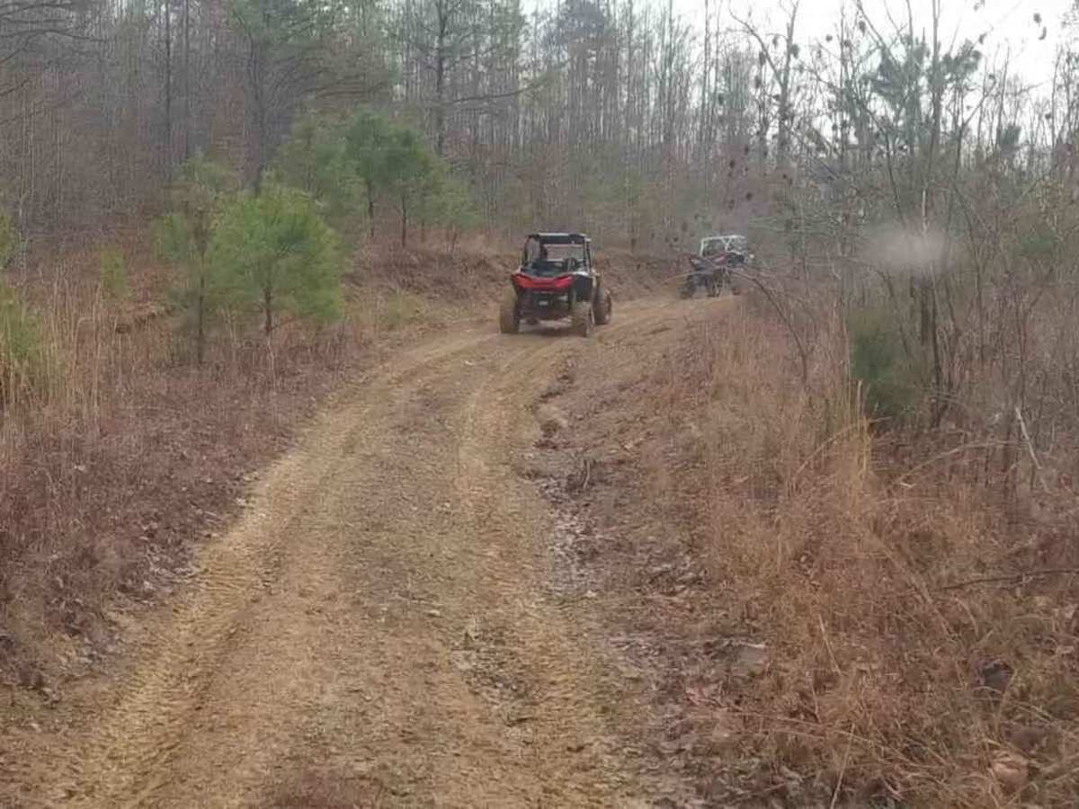 Turkey Leg Hill photo 3