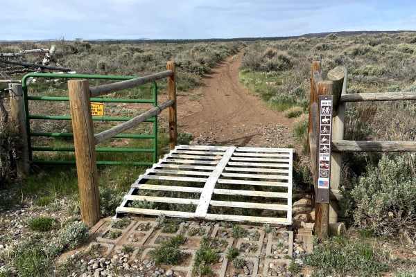 Rocky Pitch Loop