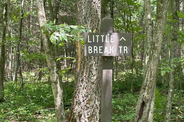 Third Gap Road