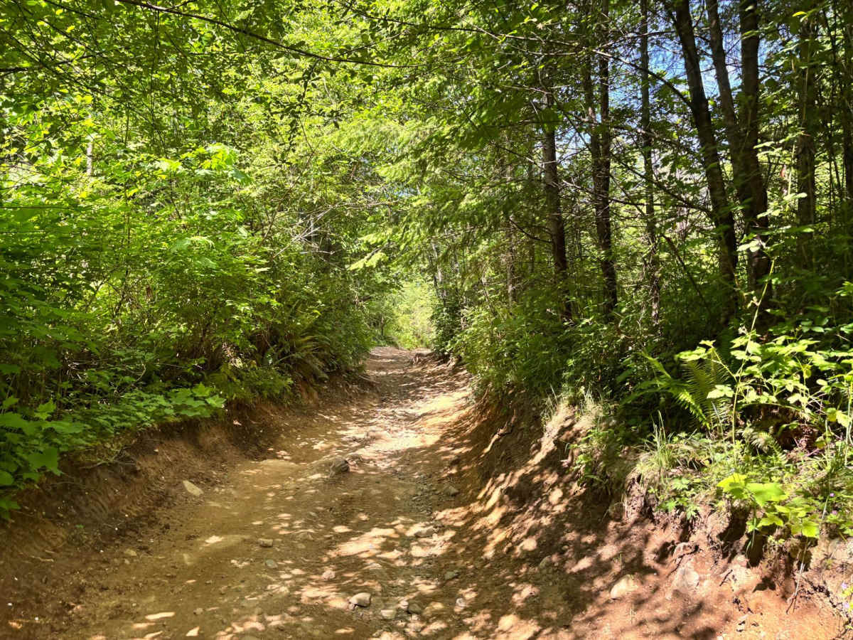 EZ Valley Connector trail photo