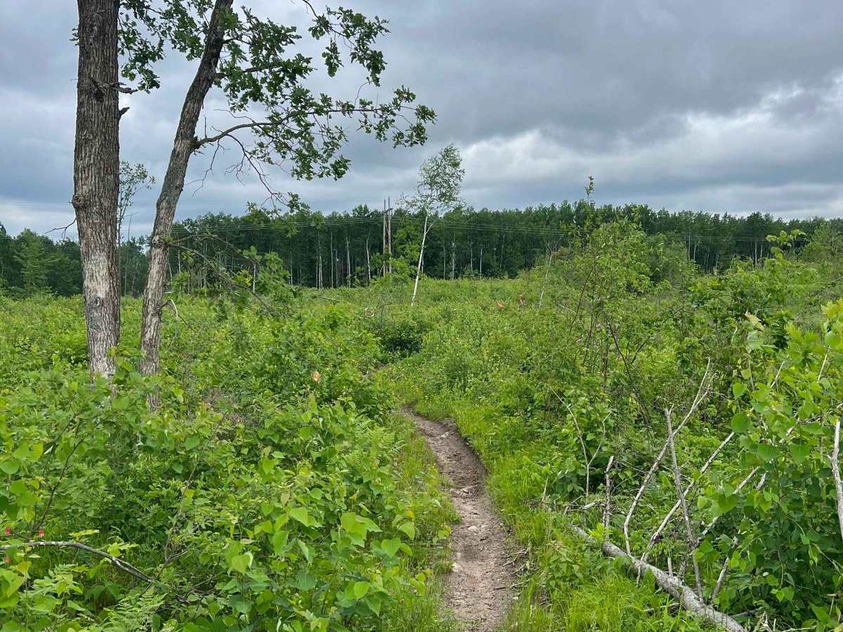 Paul Bunyan NW Loop Part 1 photo 5