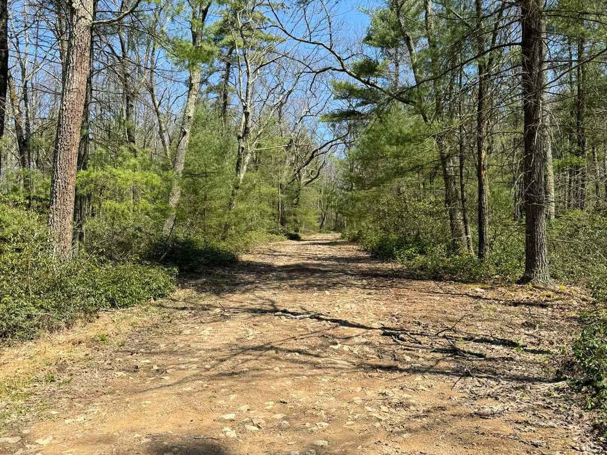 Gettis Ridge/Wampler Road photo 5