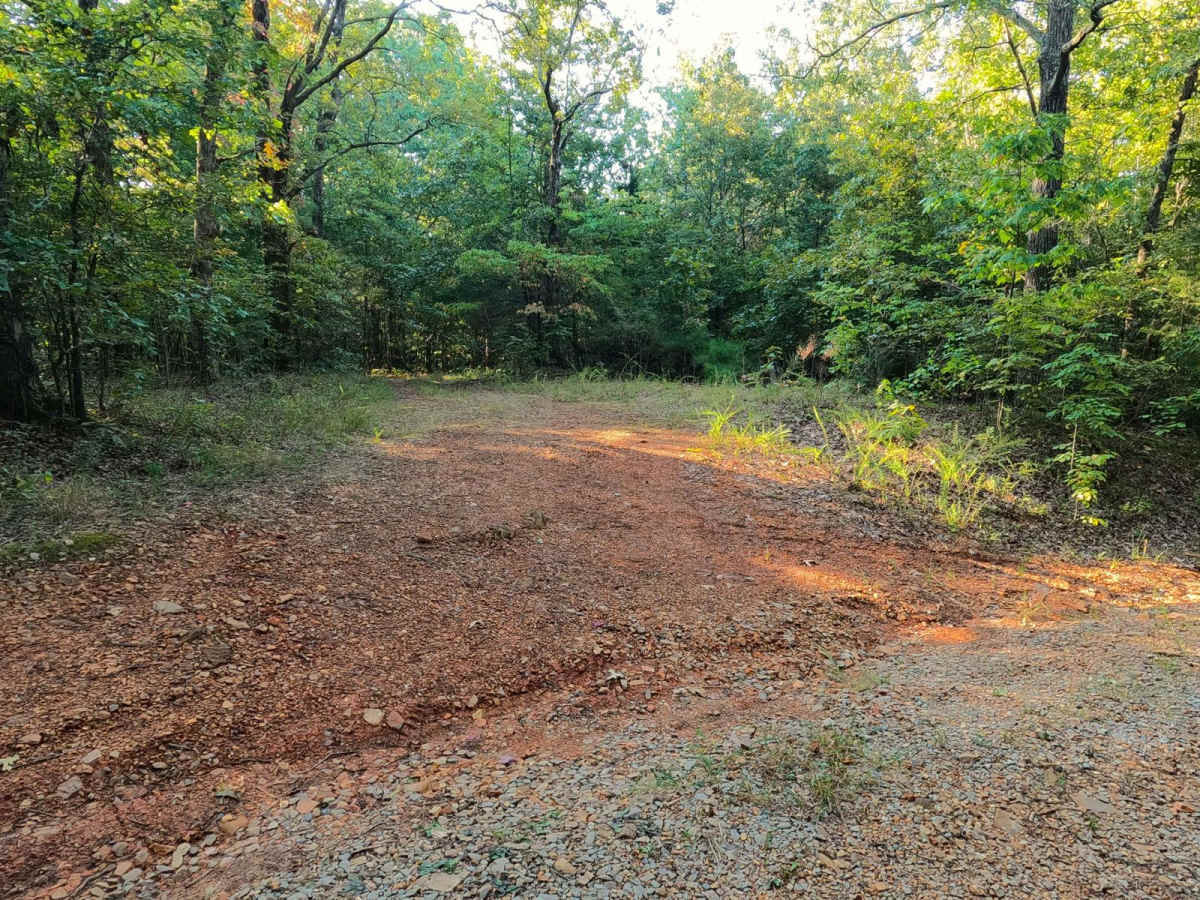 Green Branch Road - FS 409 photo 4