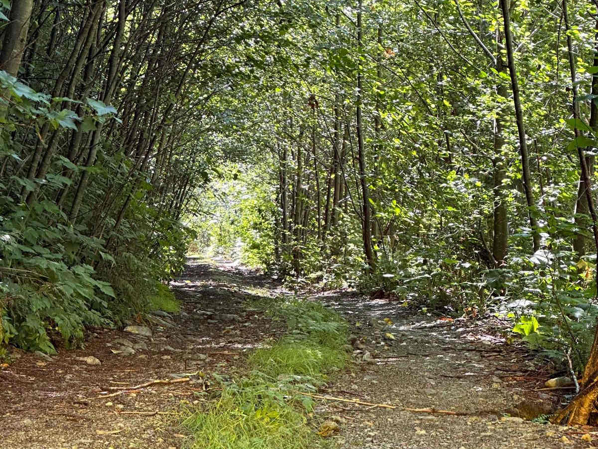 Virgin Falls photo 3