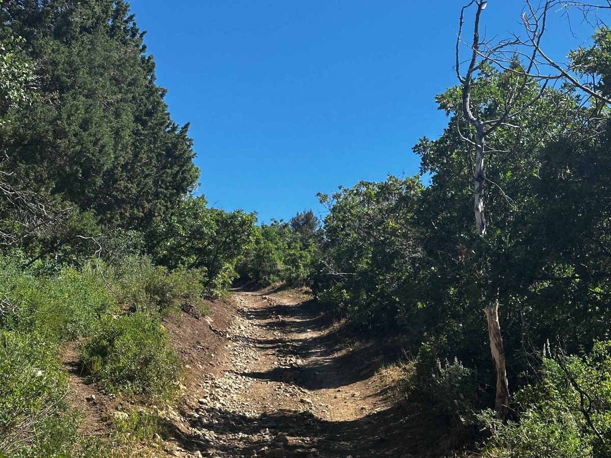 Wide Hollow photo 5