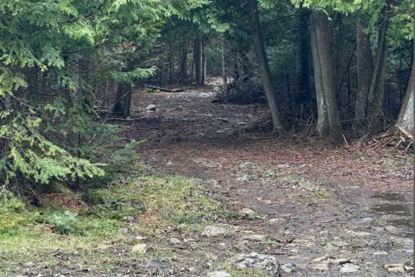 Mud Alley