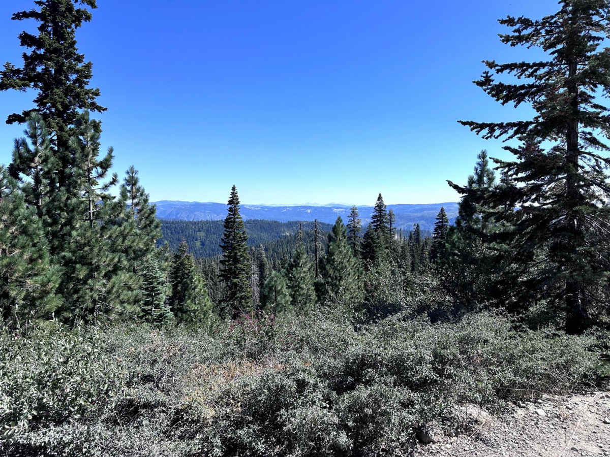 Texas Hill Road photo 3