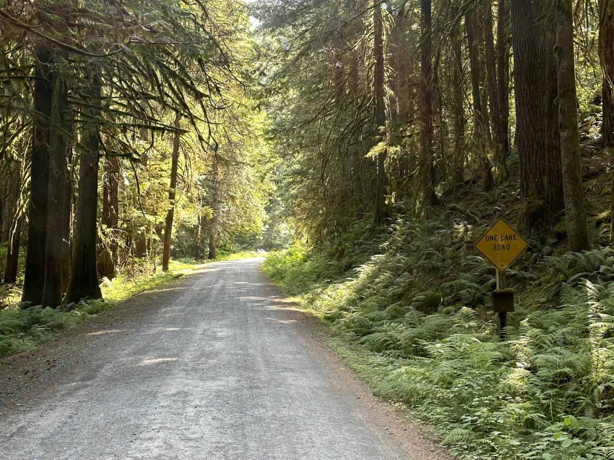 Glacier Creek Road photo 4
