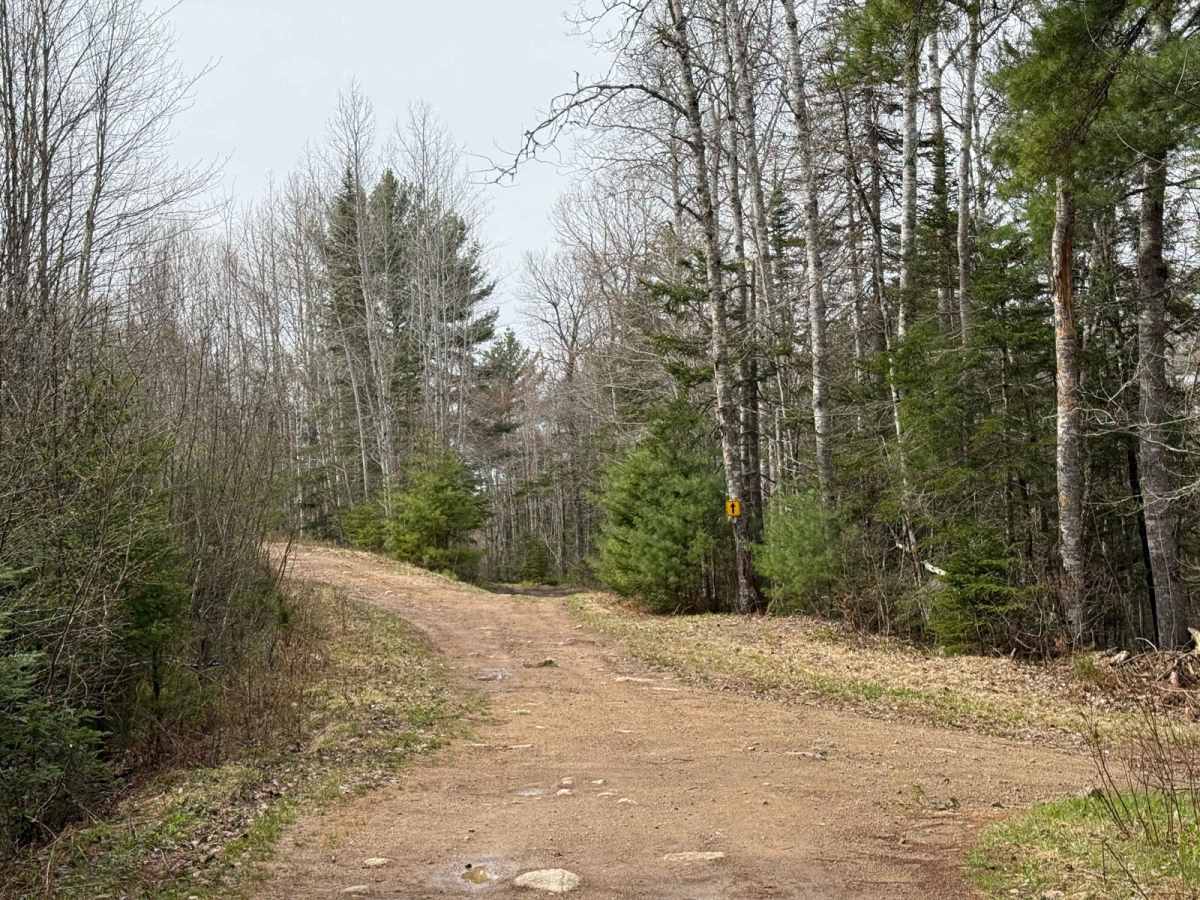 Dean Chapter Trail photo 5