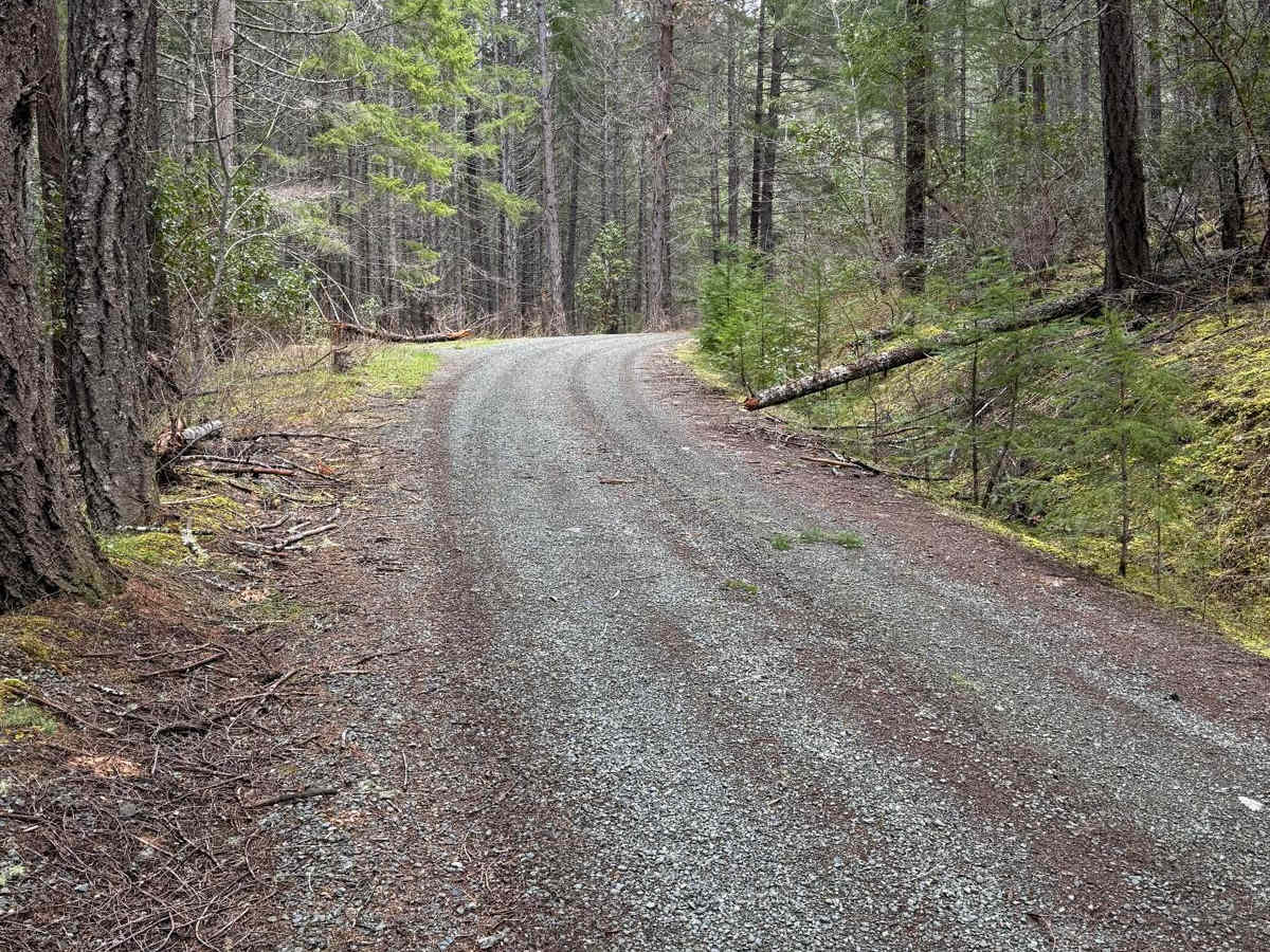 Lower Stratton Creek Road photo 4
