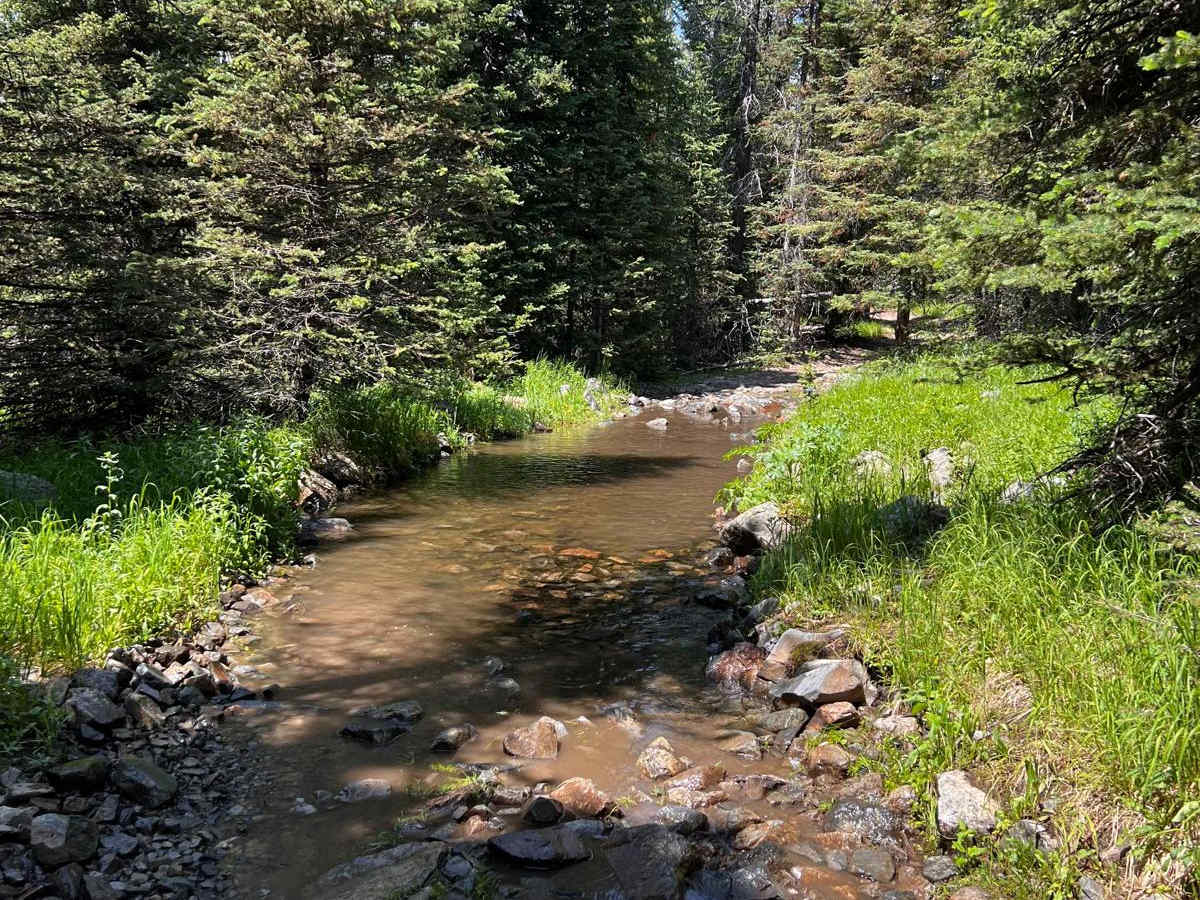 Prickly Pear to Tizer Lakes photo 2