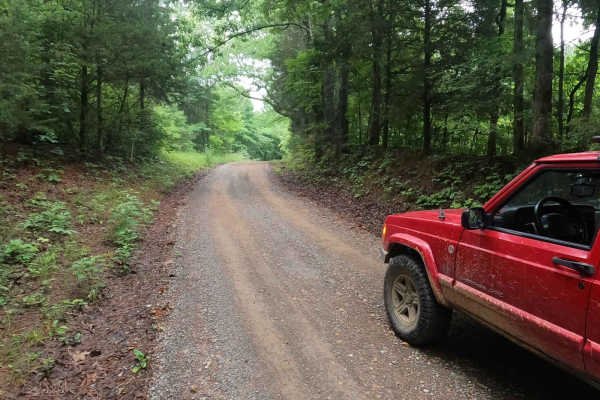 Bear Creek Road FSR 229