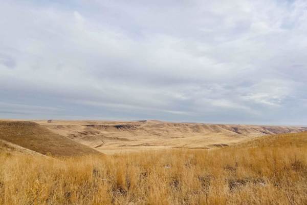 Idaho Centennial to Clover Three
