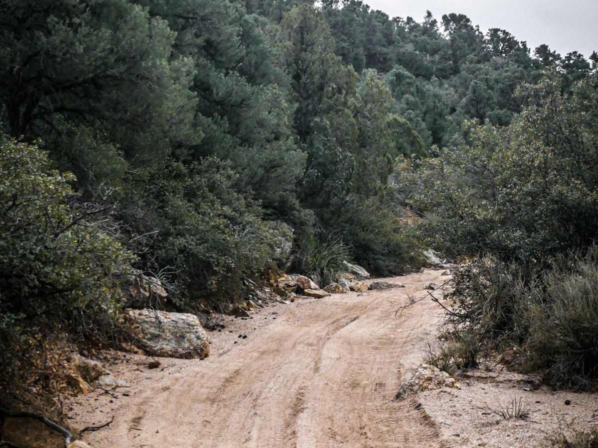 ATV Sand Wash Trail photo 3