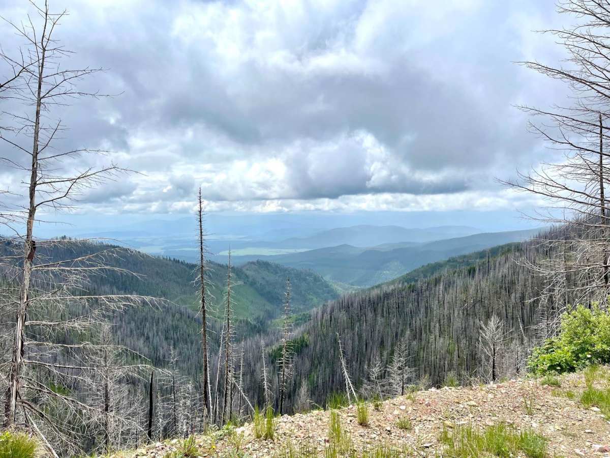 Morrell Mountain Lookout trail photo