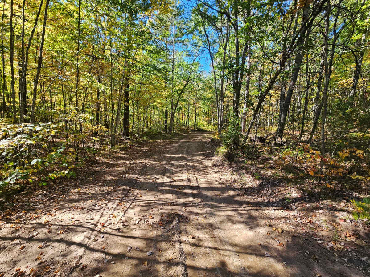 Sandy Summit Trail photo 4