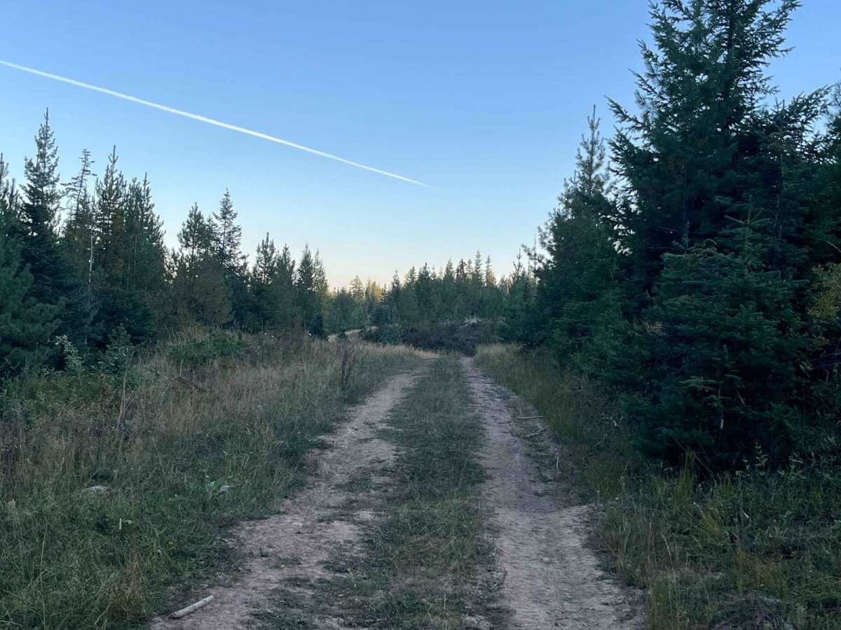 Moose Creek Spur photo 4