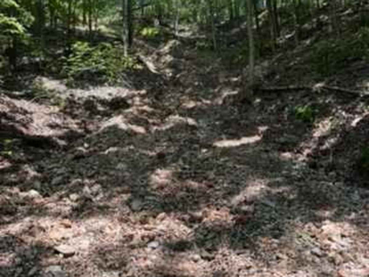 Caitlyn's Trail photo 4