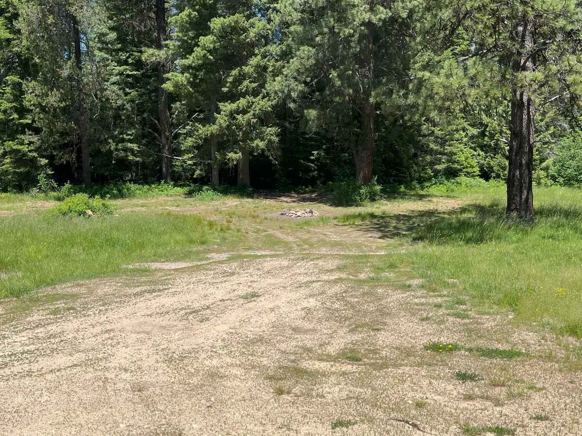 Tree Line Track photo 5
