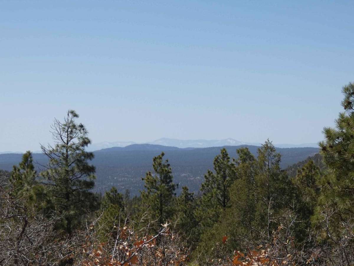 Red Mesa FSR-578 photo 5