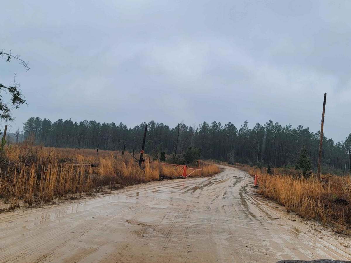 Carthage Timberlands to Kisatchie trail photo