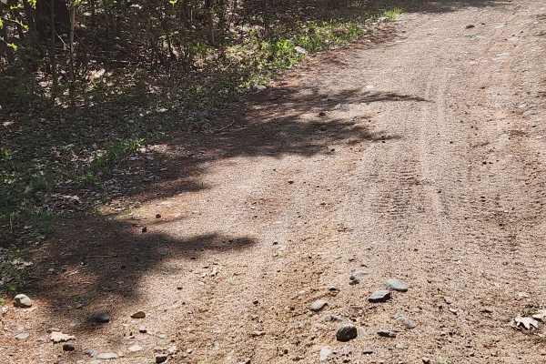 Nicolet State Trail - Bushafer to Wabeno