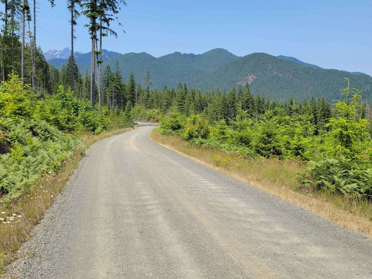 Jefferson Lake trail photo