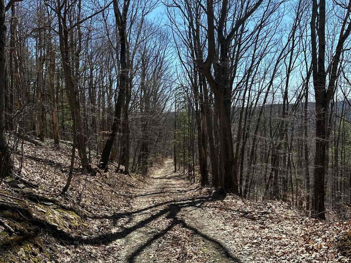 Sauerbier Road photo 2