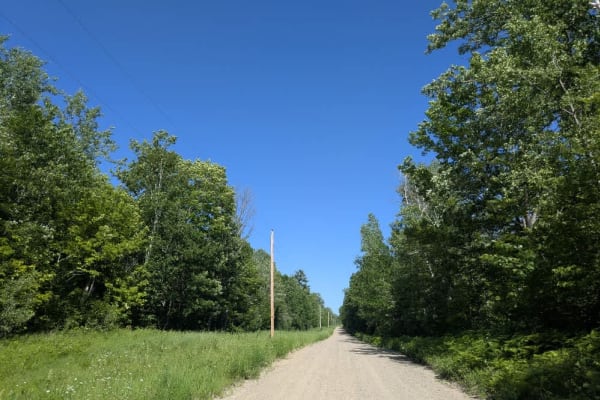 Warner Drive