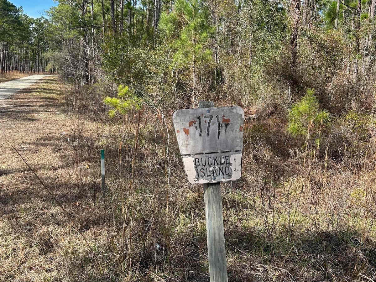 Buckle Island Road - FSR171 trail photo
