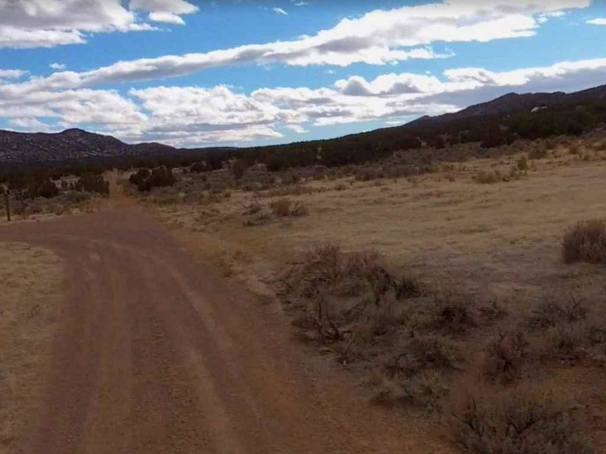 Cricket Mountain OHV Route 5 photo 3